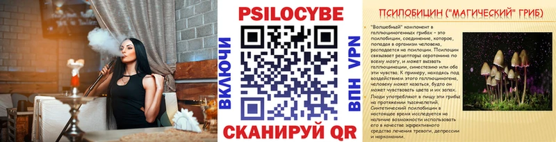 Псилоцибиновые грибы GOLDEN TEACHER  Купить где  Донецк 